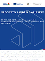 Progetto Raddrizza-Piastre